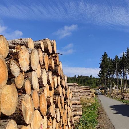 شقة Harz Blick برونلاغ المظهر الخارجي الصورة