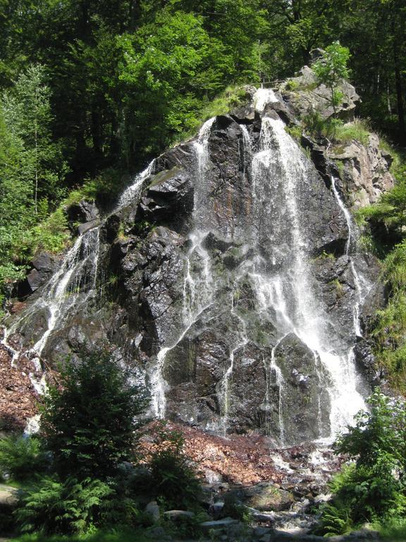 شقة Harz Blick برونلاغ الغرفة الصورة
