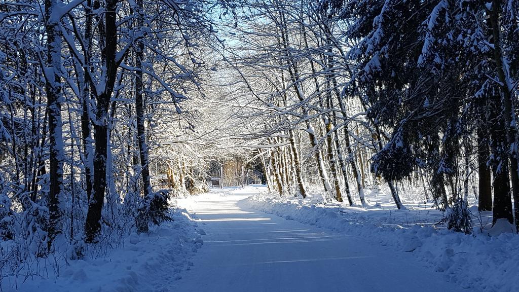 شقة Harz Blick برونلاغ المظهر الخارجي الصورة